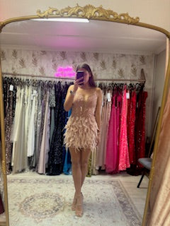 Blush feathered cocktail dress